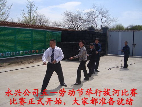 綠意蔓延舌尖新芽 都市芽苗菜種植與健康生活新選擇